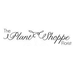 Merchant Logo